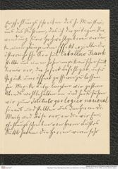 Nachlass Franz Steindachner, Brief von Adolf Horn an Franz Steindachner (17.07.1905), Inv.Nr. 239.03, Seite 3